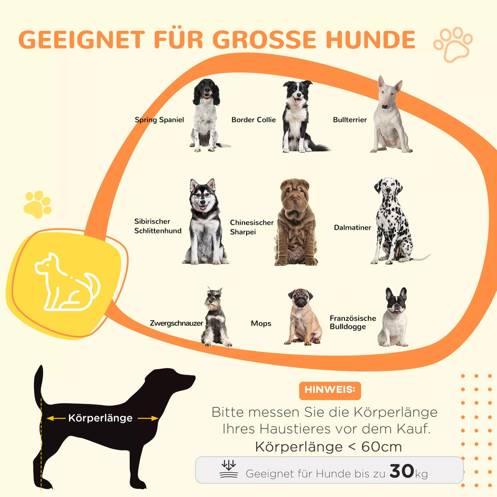Šunų dėžė su informacine grafika ir šunų veislių nuotraukomis