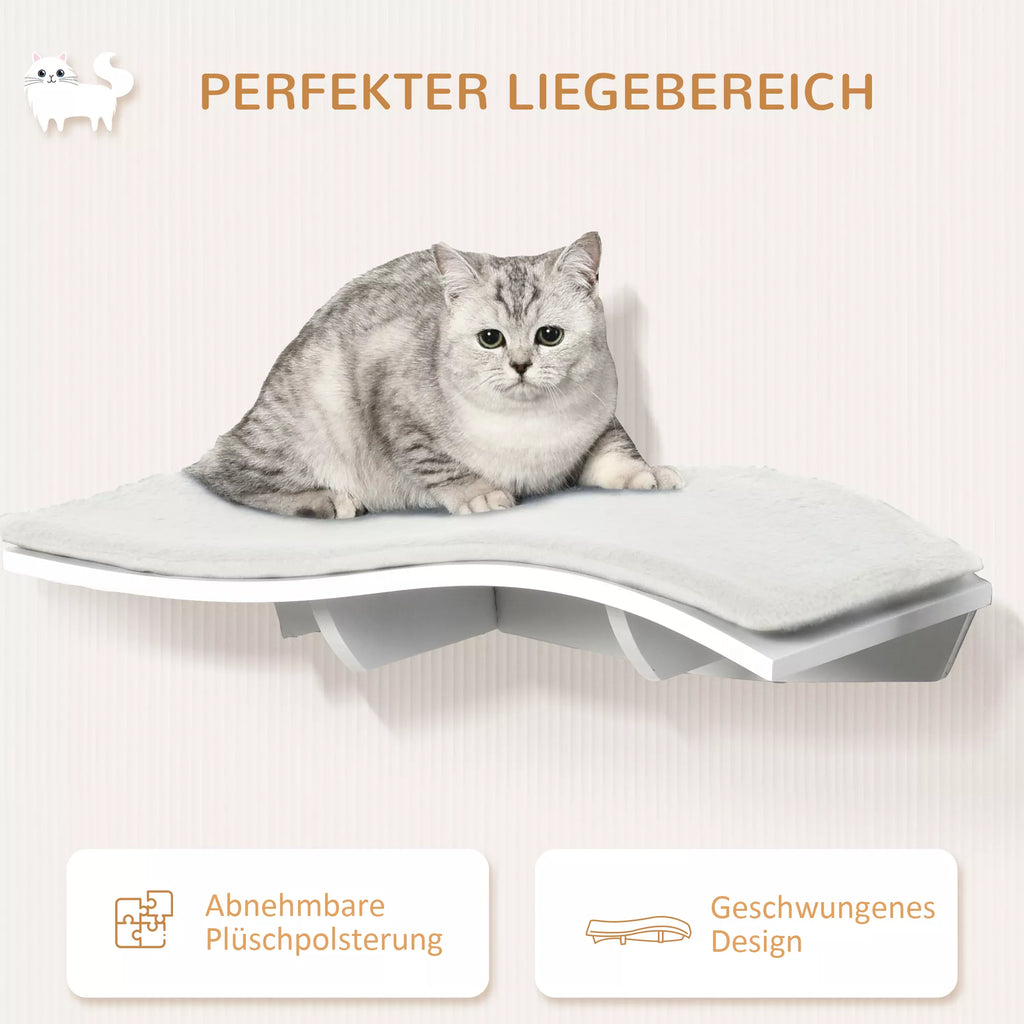 PawHut Katėms skirta kopėčių tipo sienelė, katės guolis, sieniniai katės lentynos, sieniniai katės baldai iki 4,5 kg, balta