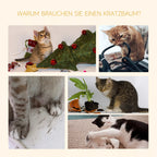 Kolažas, rodantis kates, draskančias baldus, augalus ir laidus