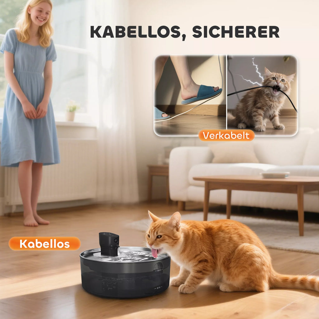 Katės girdykla fontanėlis 7L su LED apšvietimu ir filtru, nerūdijančio plieno, juodas