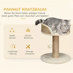Infografika su kavos spalvos draskyklės savybėmis: minkštas gultas, sizalio stulpelis, kabantis žaislas