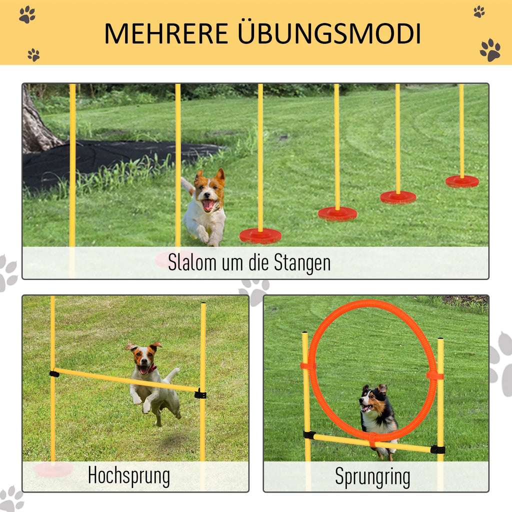 Šunų dresūros ir agility rinkinys, 6 slalomo lazdos, lankas ir kliūtys su krepšiu
