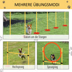 Schema su agility pratimais: slalomas, šuolis ir lankas