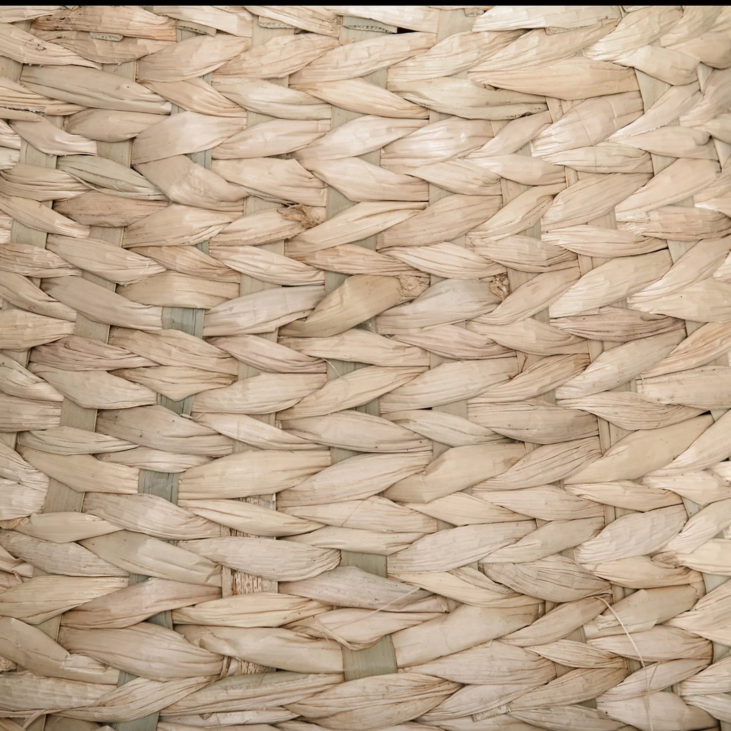 Katės medis, draskyklė katėms, baldai su katės urveliu, kamuoliukas žaislas, sizalas, minkštas pliušas, aukštis 82,5 cm, geltonas