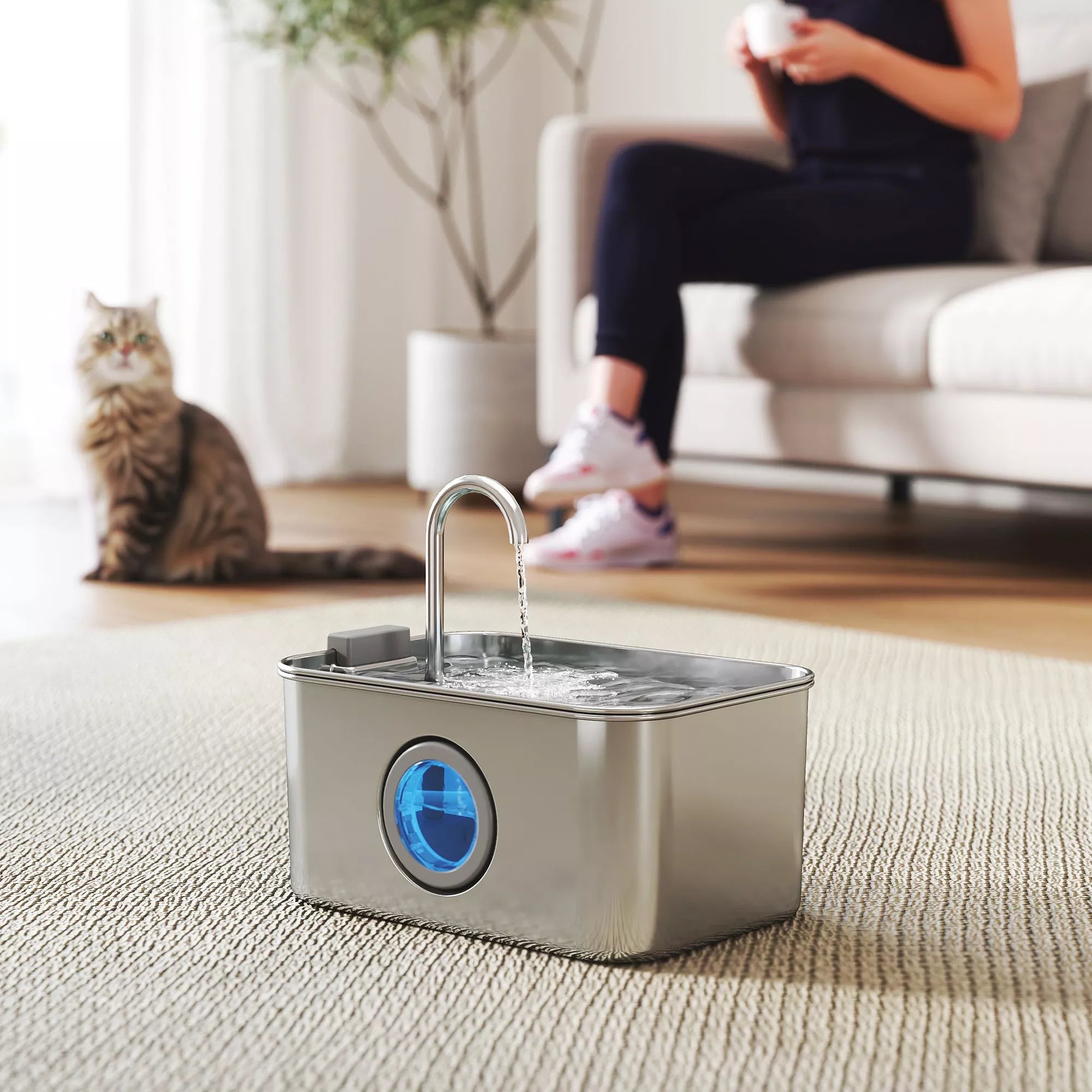 Katzenbrunnen 3,2L geriamojo vandens fontanas katėms su tyliu siurbliu ir aktyvintosios anglies filtru