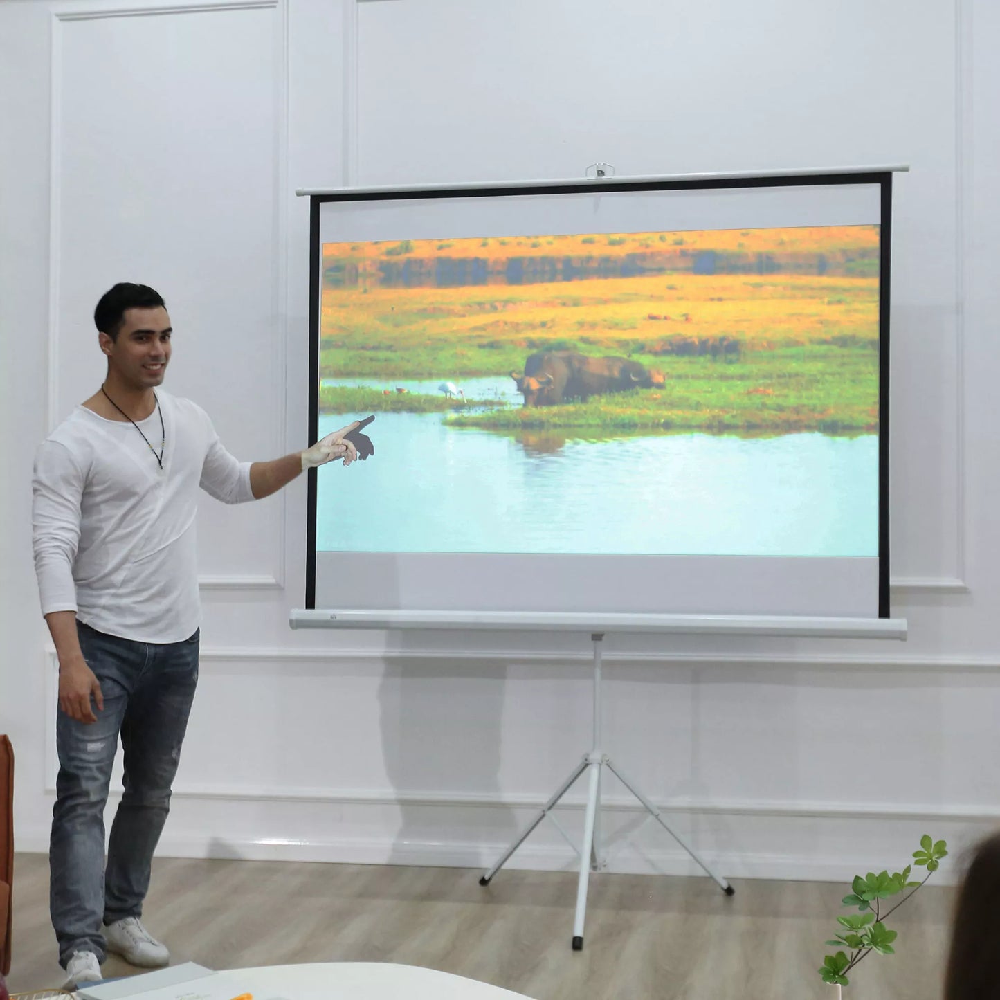 Projektorinė drobė 4:3 formatu, kino ekranas, pristatymų paviršius namams ar biurui, balta