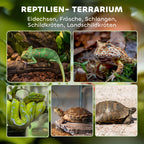 Stiklinis terariumas ropliams, paaukštintas ir vandeniui atsparus dugnas, sagties užraktas