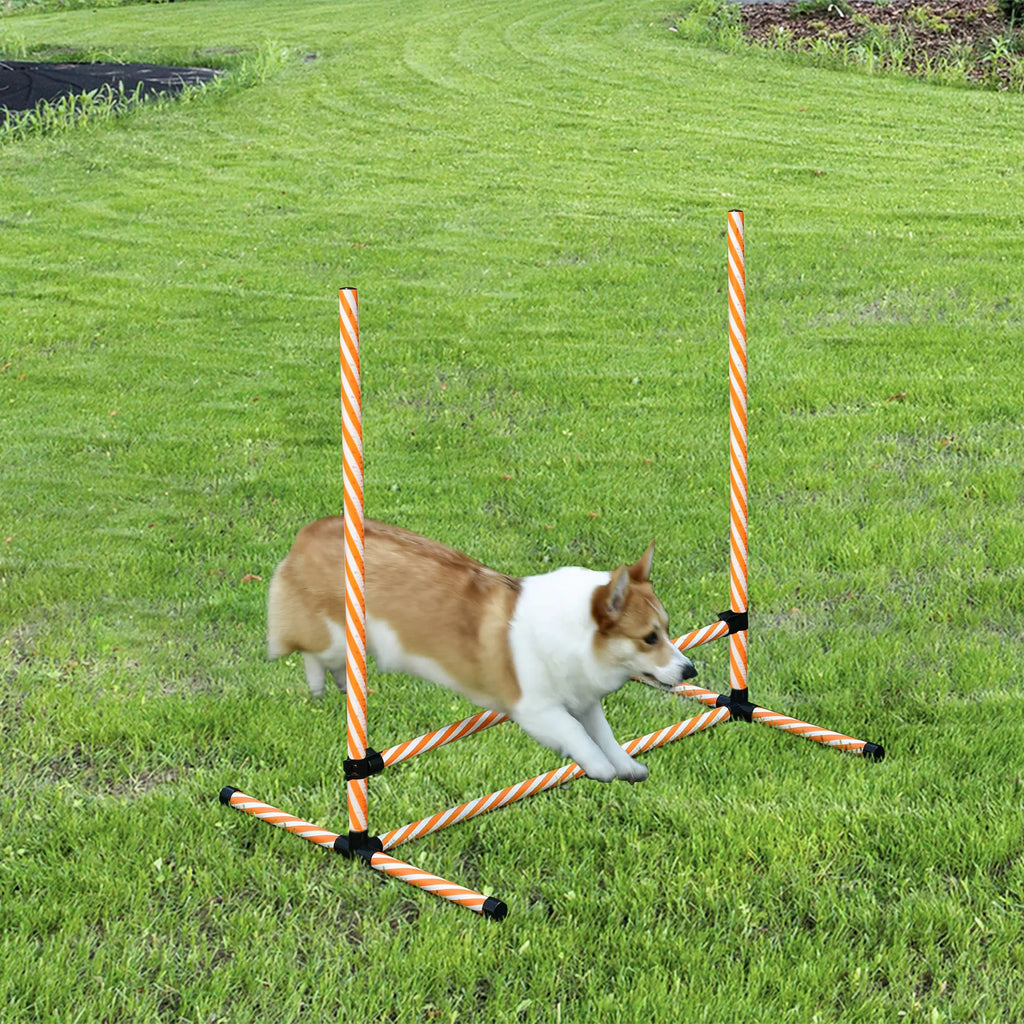 Agility rinkinys šunims, 6 vnt. Agility įrangos rinkinys su pinti strypais, švilpuku, šunų dresavimo reikmenimis ir nešimo krepšiu, skirtas parkui, sodui, oranžinės spalvos.