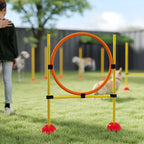 3 dalių šunų agility rinkinys, užpildomas. Agility įranga šunų dresūrai, šuolių kliūčių ir slalominių stulpų rinkinys.