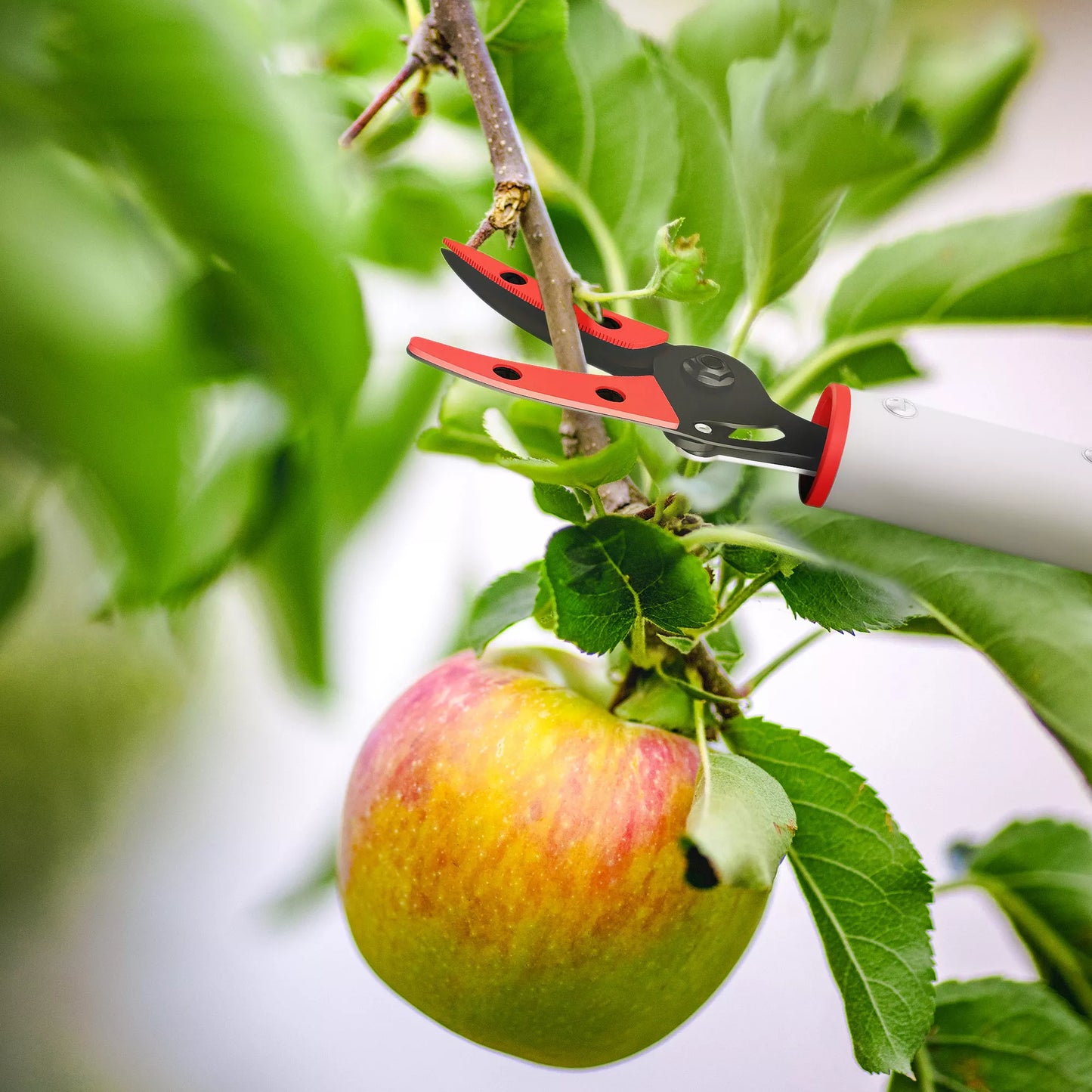 1,2 m genėjimo žirklės, sodo žirklės, sodo pjaustyklės su aliuminio rankena, ilgos rankenos sodo žirklės, raudonos