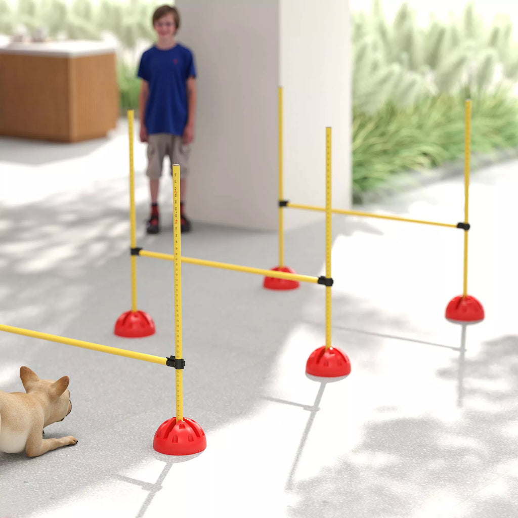 Šunų dresūros ir agility rinkinys, 4 reguliuojamos kliūtys su krepšiu