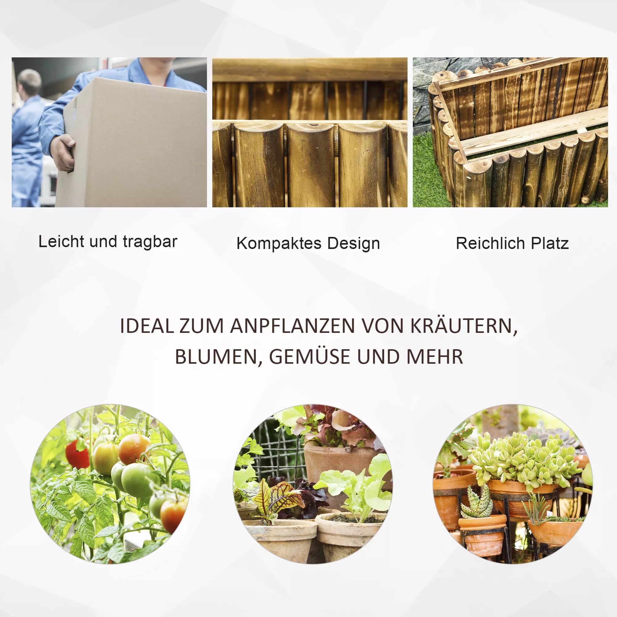 Schema su vazono savybėmis ir augalų sodinimo pavyzdžiais