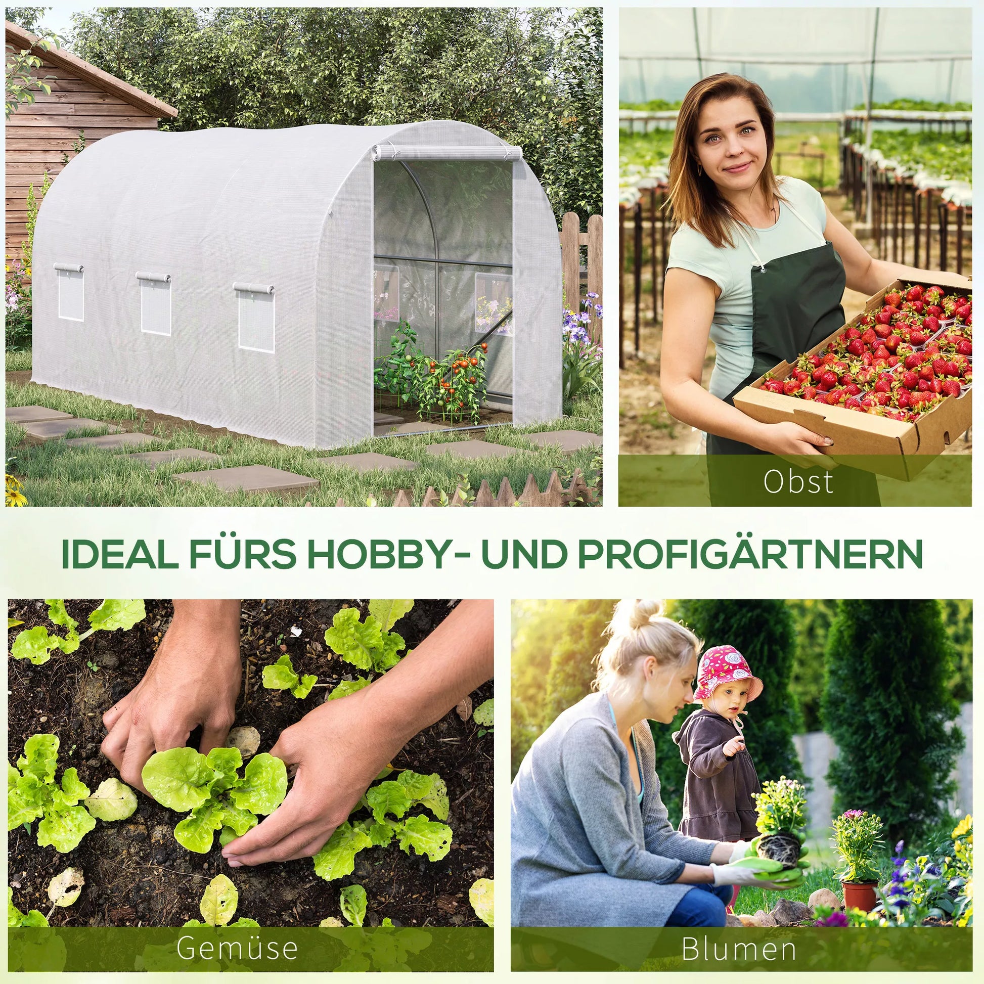 Šiltnamis 350x200x200cm Plėvelinis šiltnamis Pomidorų namelis su durimis, langu, plėvelinis tunelis iš cinkuoto plieno, augalų tunelis, šiltnamis su žemės inkarais ir virvėmis, sodo tunelis, baltas