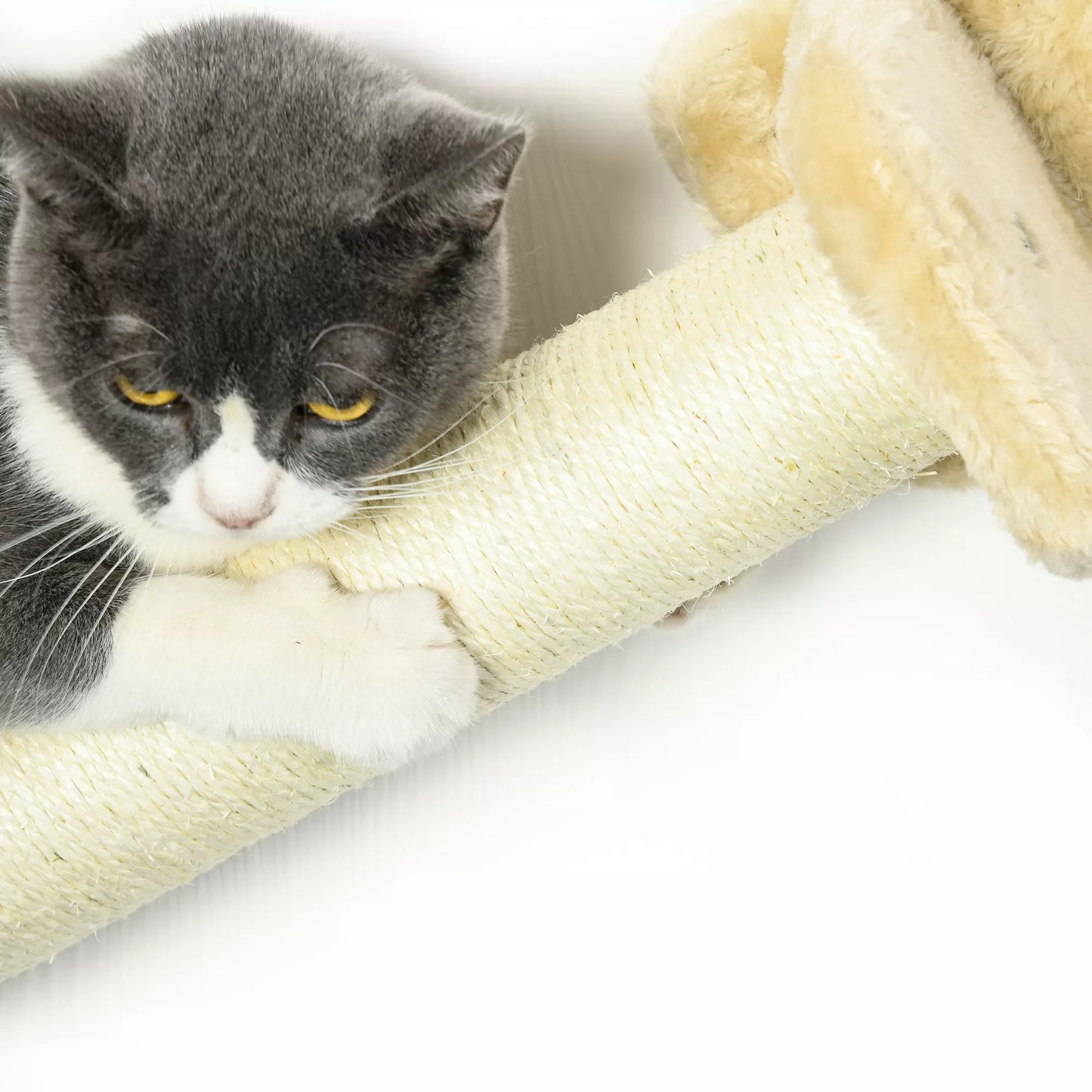 Kačių laipteliai, 5 dalių komplektas, 2 draskyklės, 2 plokštumos su pliušiniu apmušalu, hamakas, smėlio spalvos