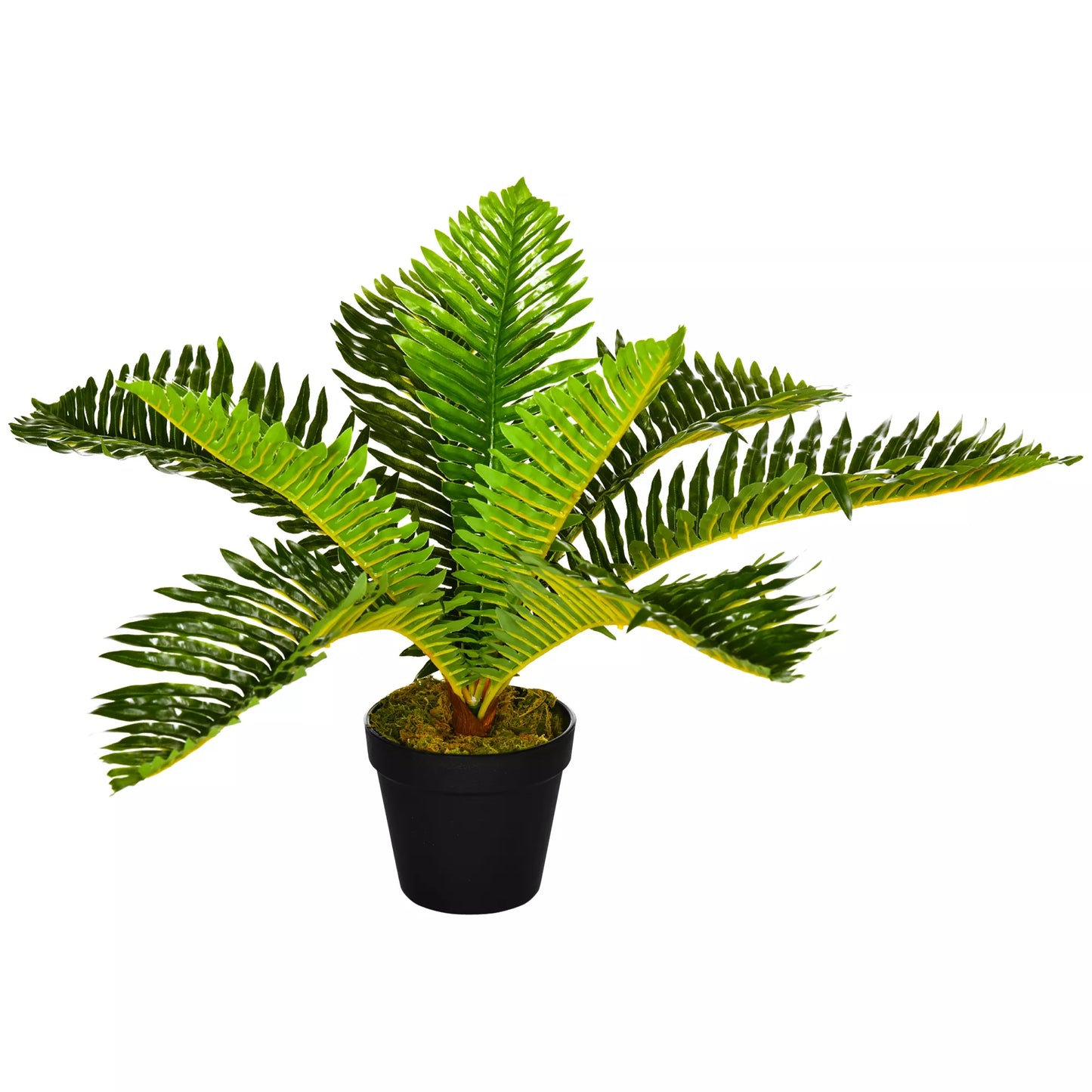 Dirbtinė atogrąžų palmė, 50 cm, su vazonu, Žalia + Juoda
