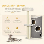 Katės draskyklės infografika su savybių piktogramomis