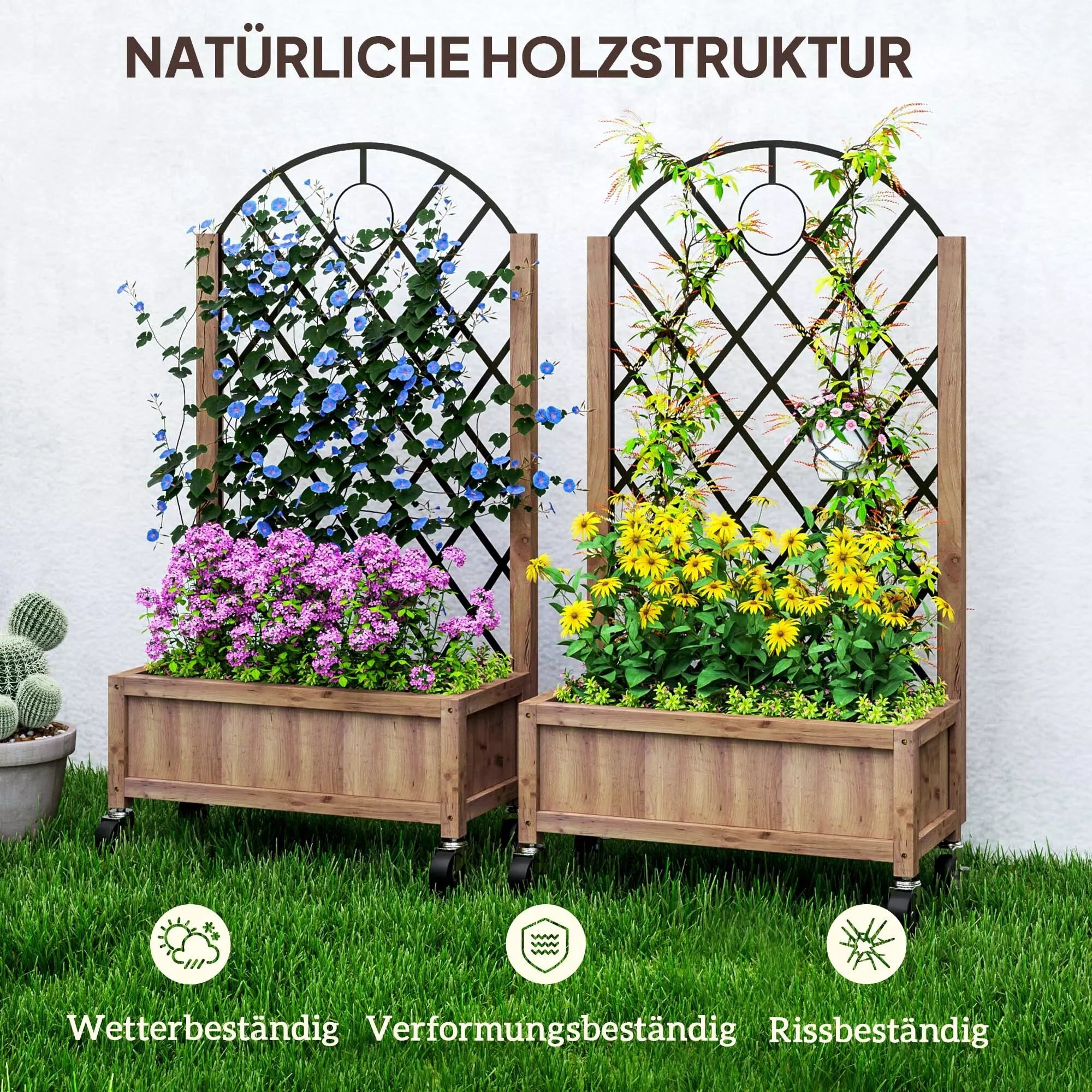2 vnt. aukštos lysvės sodinimo dėžės su ritinėliu, grotelėmis, atramais, sodinimo vazonais, gėlių dėžėmis, medžio 52x25x97 cm, rudos spalvos