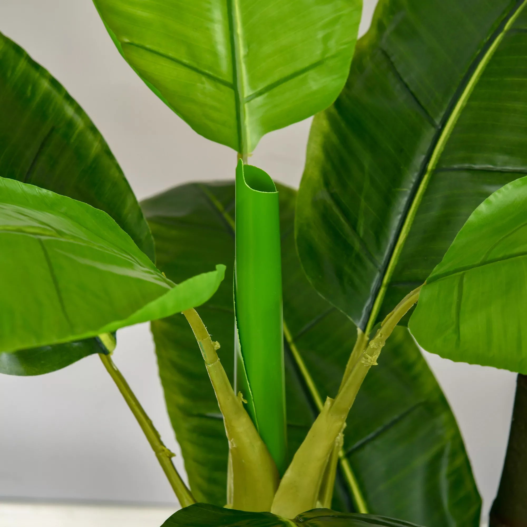 dirbtiniai augalai 150 cm dirbtiniai augalai vazonuose dirbtinis bananų medis dirbtinis augalas dirbtinis medis kambarinis augalas dekoratyvinis augalas biuro augalas plastikinis vazonas vidaus patalpoms