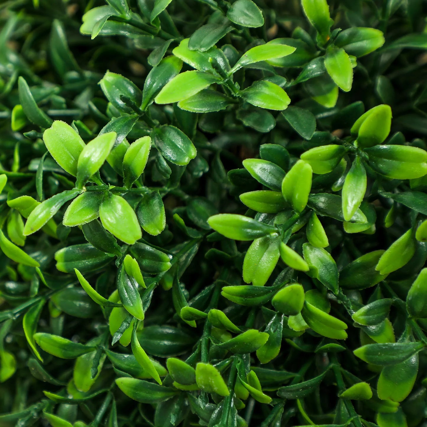 2 vnt. dirbtinių buksmedžio augalų rinkinys, atsparūs UV spinduliams, su vazonu, žali