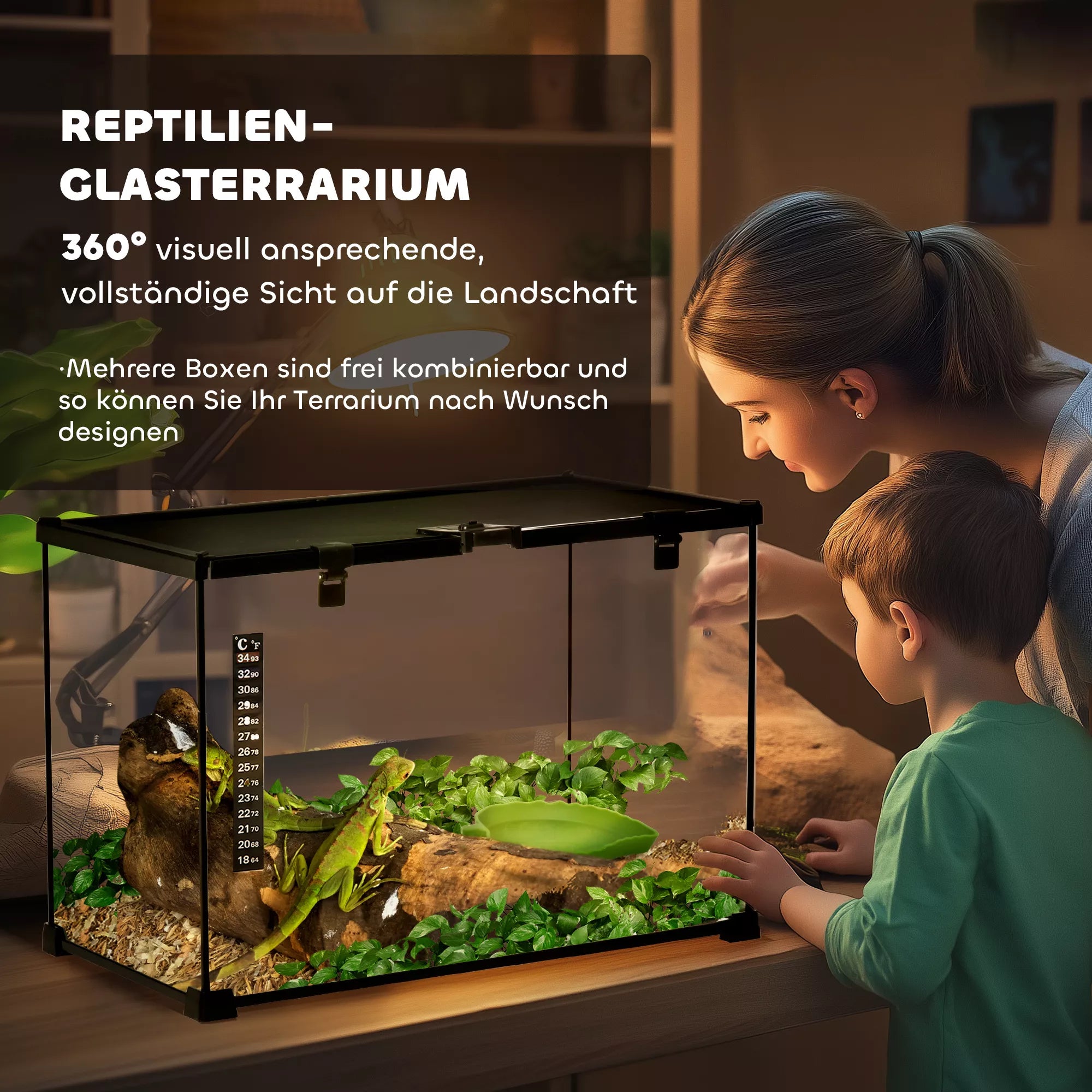 Terariumas ropliams Reptile Šėrimo dėžutė Stiklinis terariumas Amfibijos Voragyviai su termometru Roplių veisimo dėžutė Sraigės Amfibijos Vabzdžiai Vėžliai Juoda 50 x 30 x 35 cm