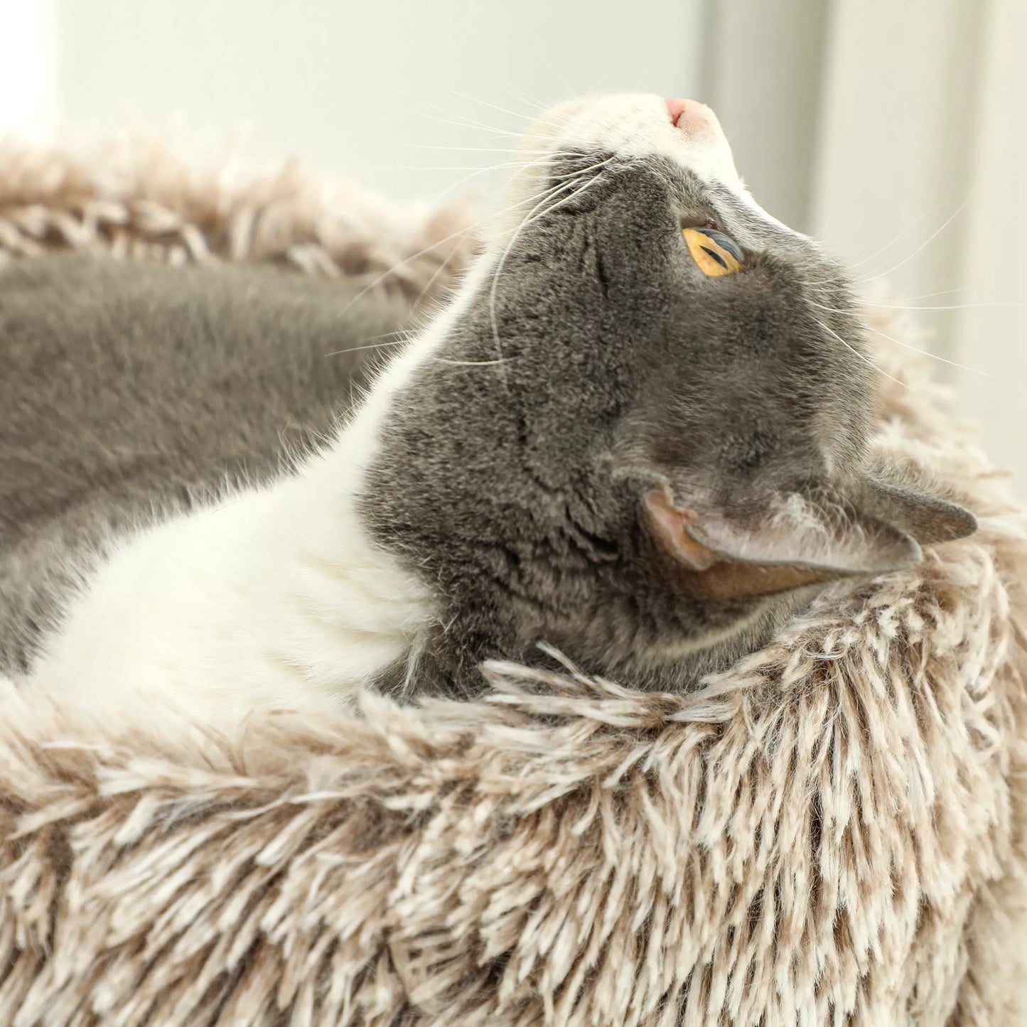 Kačių medis, 87 cm, kačių bokštelis su storu draskymo stulpu, pliušinė lova, skirtas naudoti patalpoje, atlaiko iki 6 kg, rudas