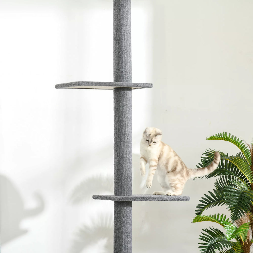 Kratzbaum iki lubų aukščio 228-260 cm Katės medis su platformomis Daugiaaukštis katės medis Laipiojimo medis mažoms ir didelėms katėms, pilkos spalvos