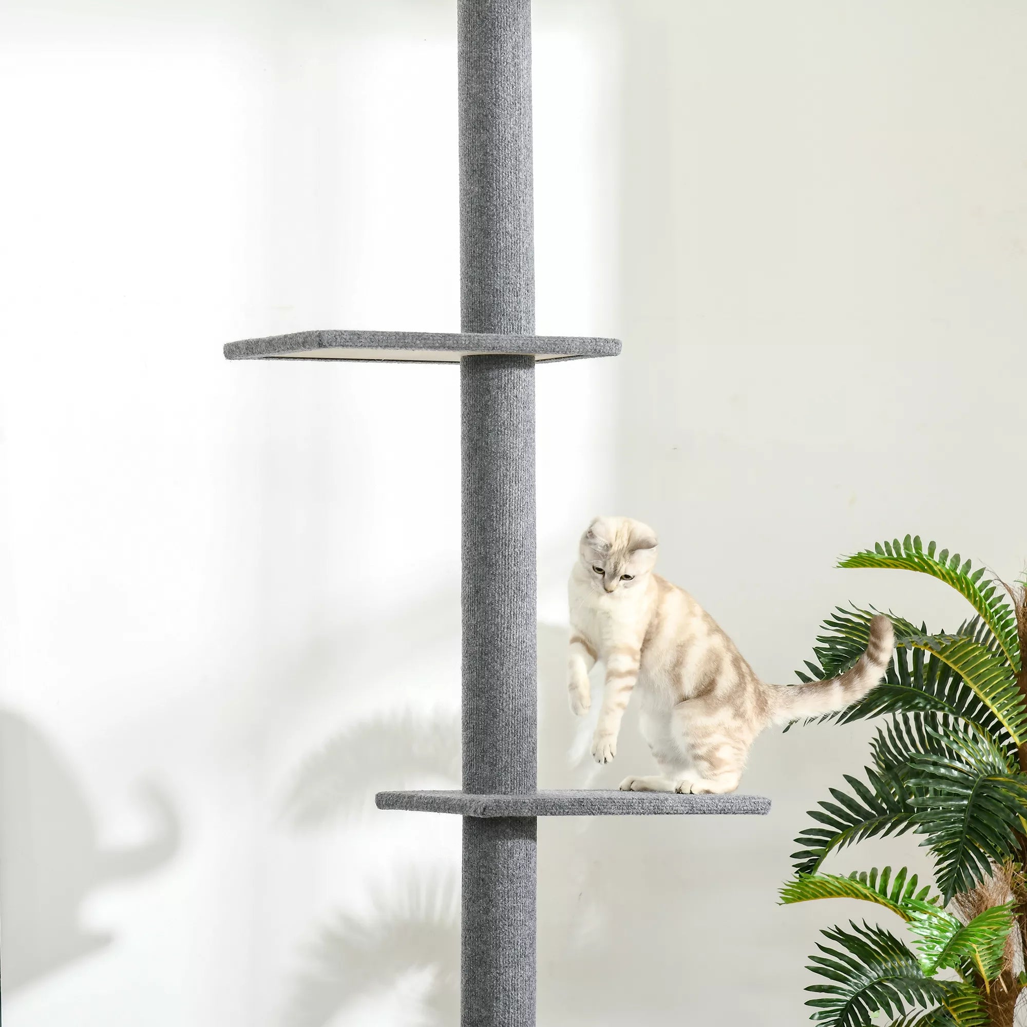 Kratzbaum iki lubų aukščio 228-260 cm Katės medis su platformomis Daugiaaukštis katės medis Laipiojimo medis mažoms ir didelėms katėms, pilkos spalvos