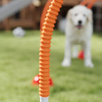 Šuo bėga per oranžinį šunų agility tunelį