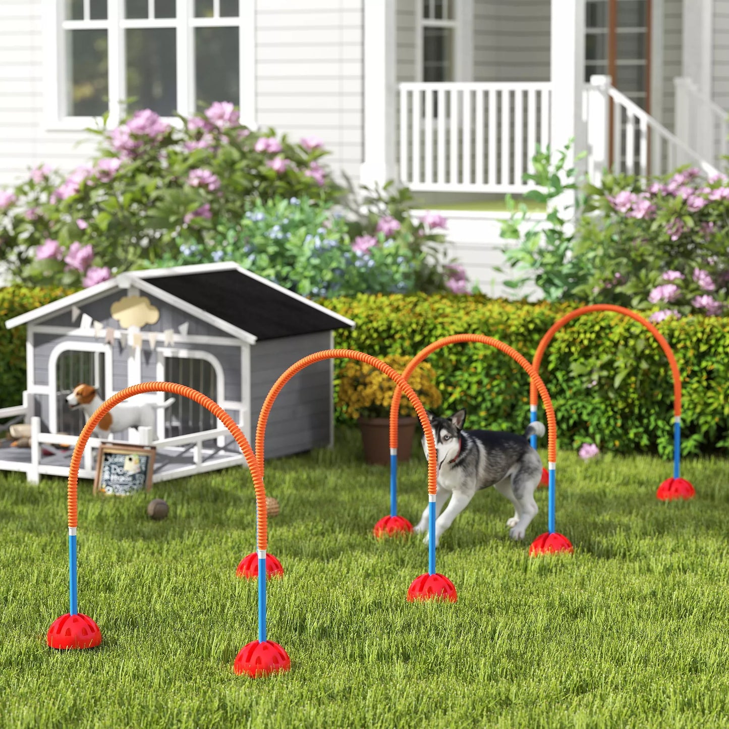 4 dalių šunų agility treniruočių įranga su 4 durimis, reguliuojamo pločio, su nešiojimo krepšiu, skirta sodui, mėlynos spalvos