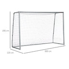 Futbolo vartai 300 x 120 x 200 cm, pilki