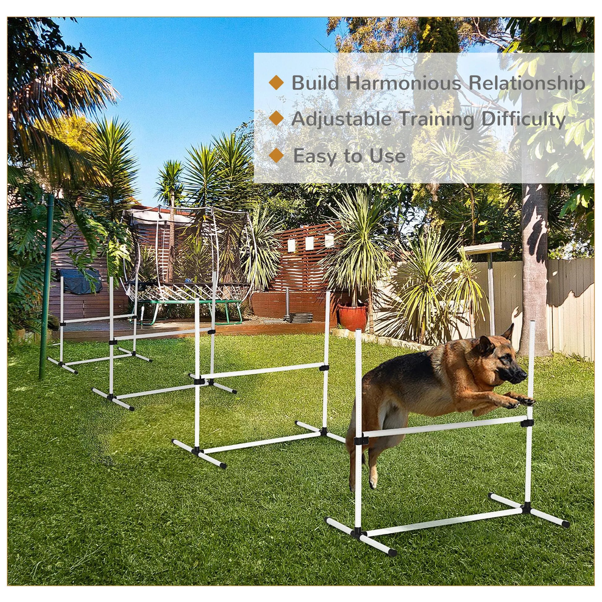Šunų Agility Rinkinys, 4 dalys, reguliuojamo aukščio. Agility įranga, šuolių kartelių rinkinys, su 4 kliūtimis, su nešiojimo krepšiu. Koordinacijos treniruotėms, šuolių kartelių rinkinys žaidimams ir treniruotėms.