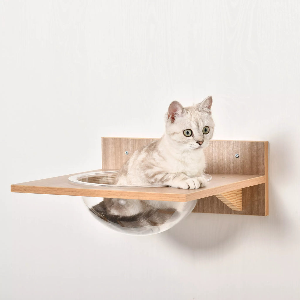 Laipiojimo siena katėms, 4 dalių katėms skirtas laipiojimo sienos rinkinys Katėms skirtos sienos elementai su braižymo medžiu Hamaku Šokimo platforma Braižymo kolona Katėms skirtos laipiojimo ir miego baldai iki 5 kg Šviesiai rudos spalvos