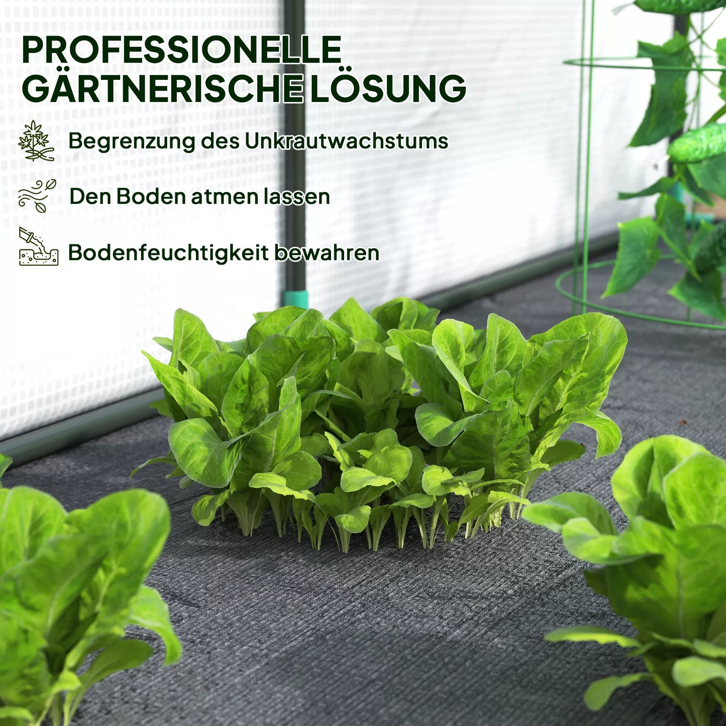 Sieninis šiltnamis, prieinamas augalų namelis, plastikinė danga, 300 x 80 x 157 cm, baltas