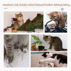 Schema su katėmis, naudojančiomis katės bokštą