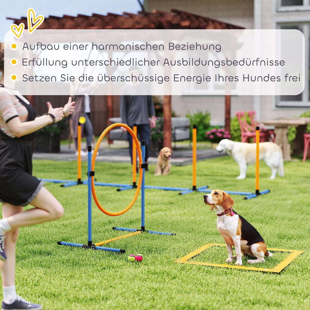 Šunų dresūros rinkinys Agility 7 dalių, mėlynas/oranžinis
