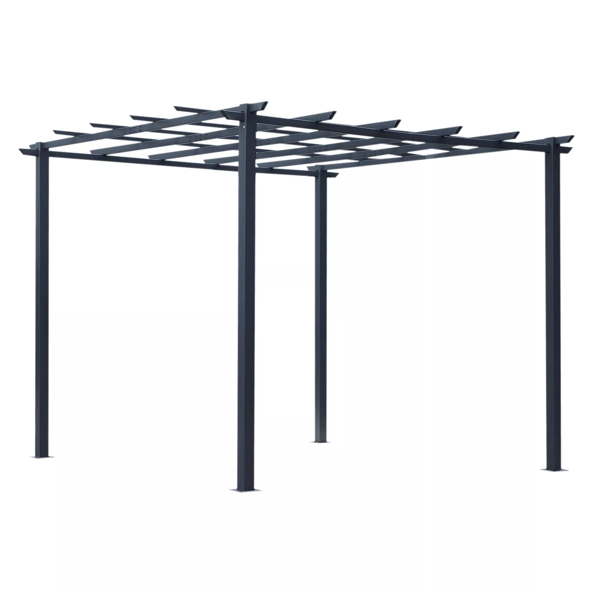 Metalinė rožių arka sode, juoda, 297 x 295 cm, su vijokliniais