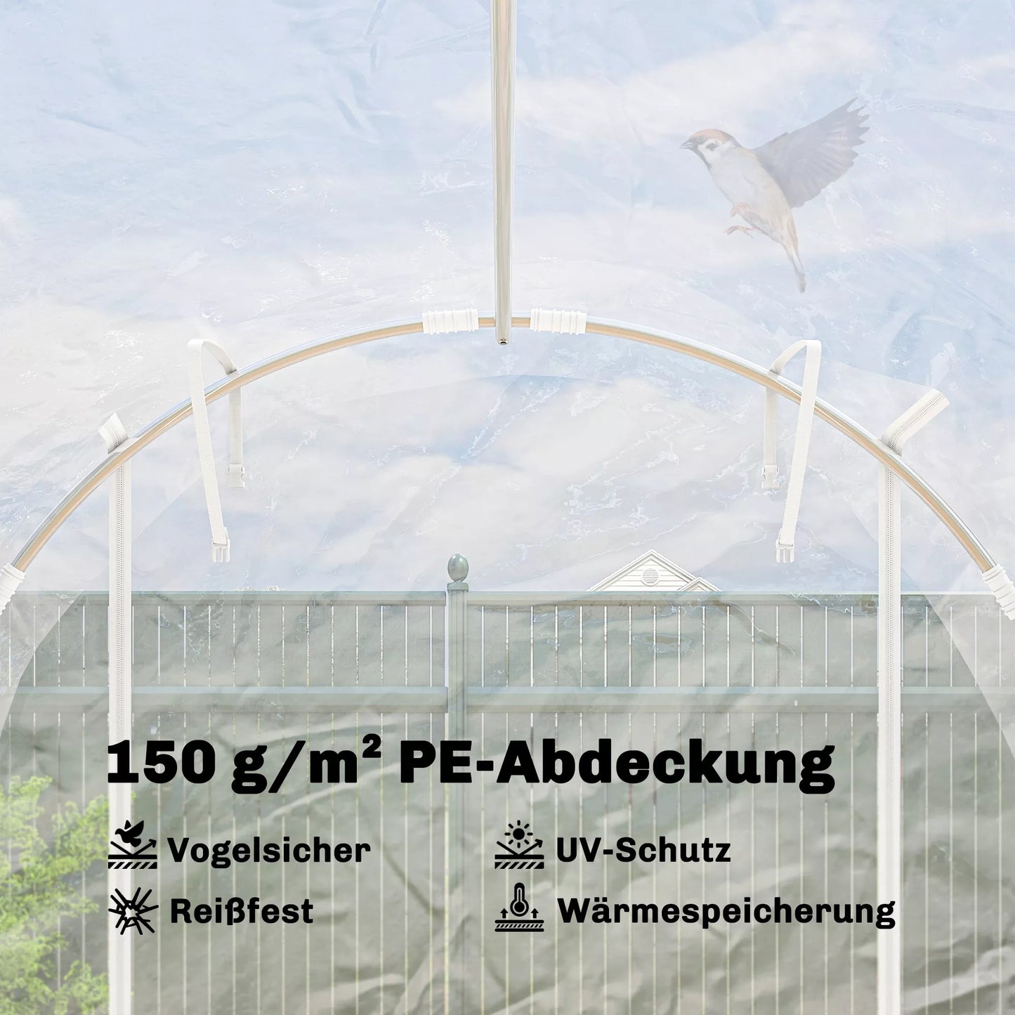 Polietileno tunelis-šiltnamis, įeinamas šiltnamis su cinkuoto plieno rėmu ir UV spinduliams atspariu PE danga, skaidrus