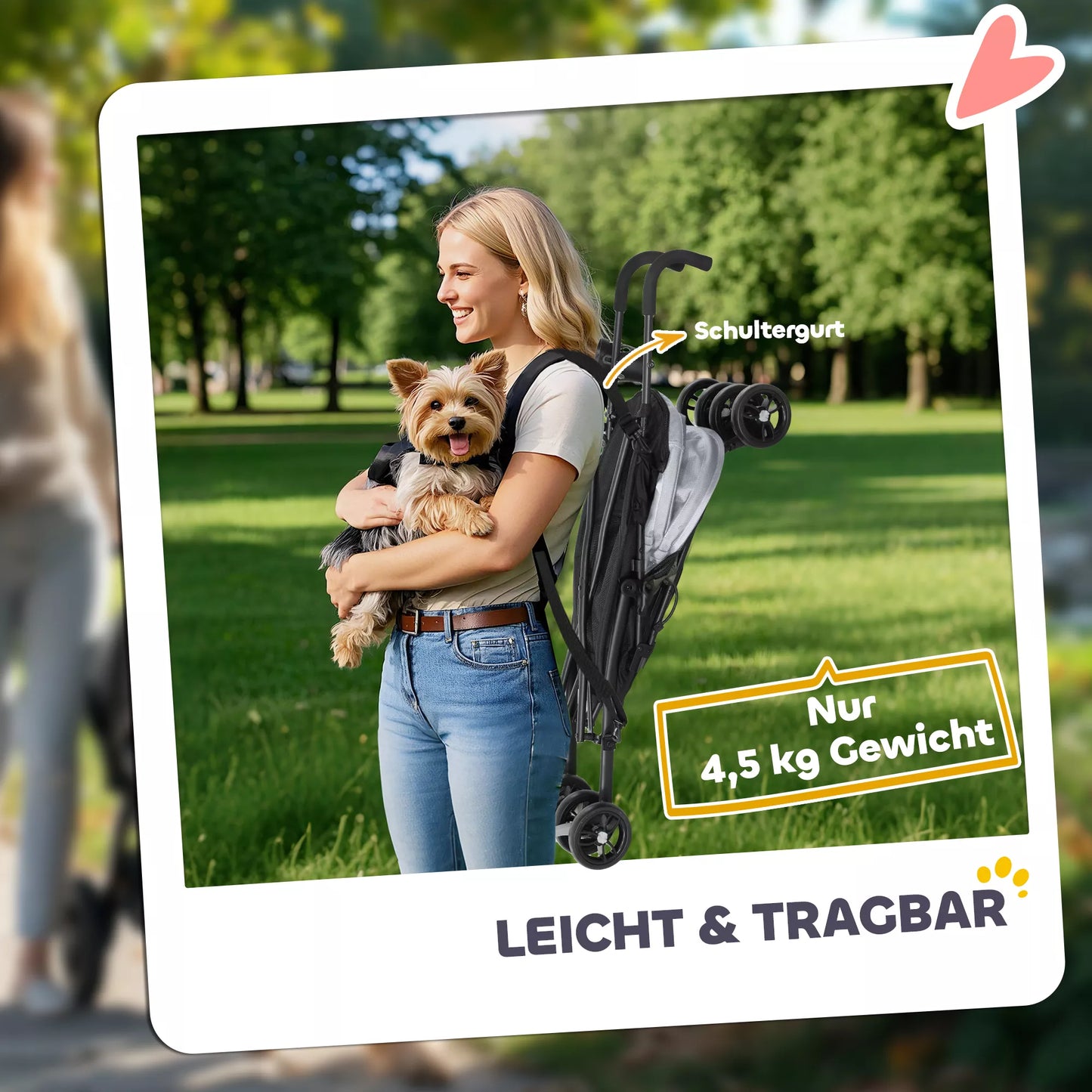 Gyvūnų vežimėlis, saugos diržai, tinklelio langas, 76I x 44P x 103A cm, šviesiai pilkas