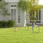 Šunų agility rinkinys Šunų aikštelė, 1 padanga, 1 barjeras, 1 Slalomo rinkinys, 352 cm x 66 cm x 69 cm, mėlyna + raudona