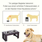 Schema su pakelta stotele, tausojančia šuns kaklą