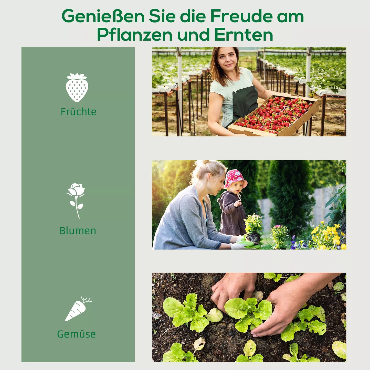 Folinis šiltnamis, mini šiltnamis, augalų namelis, daigykla, 4 lentynos, 69 x 50 x 165 cm, permatomas