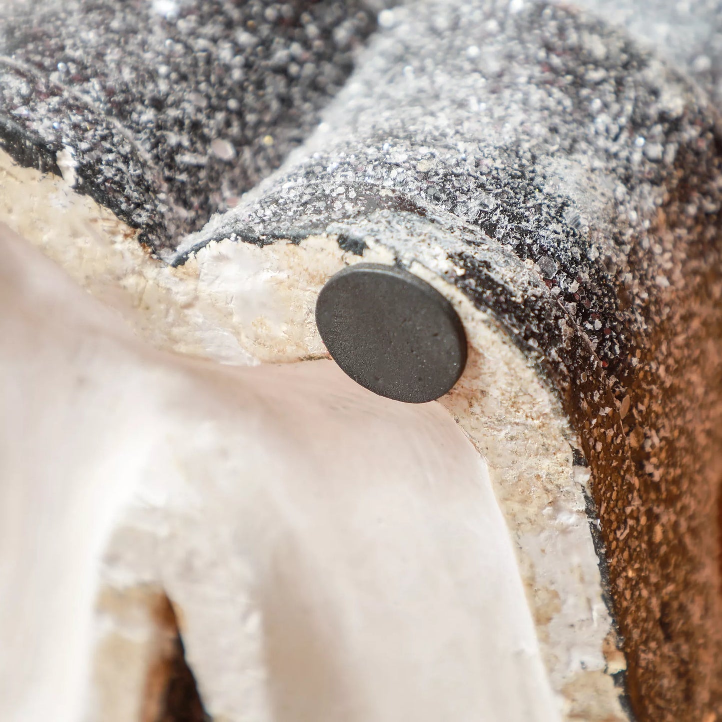 HOMCOM Kalėdinė dekoracija, Briedis su žibintu, LED, maitinamas baterijomis, 25,5 x 19,5 x 52 cm