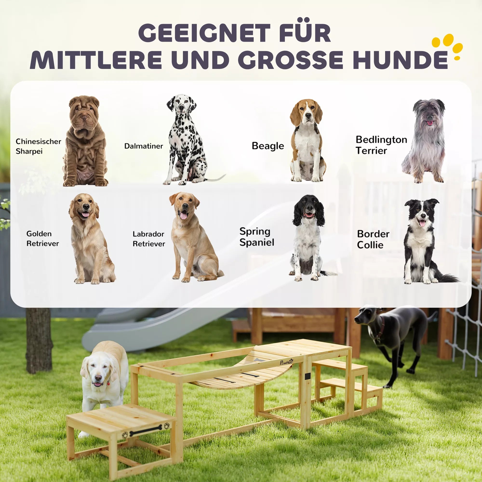 Agility rinkinys šunims, šunų treniruočių konstrukcija su tiltu, laiptais, platforma, pušies mediena, dideliems šunims iki 40 kg