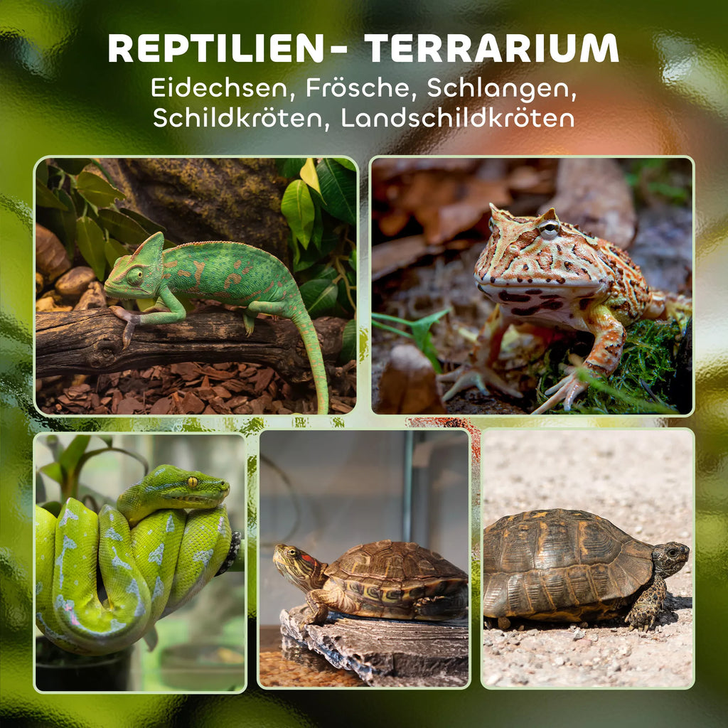 Terariumas ropliams, su vandeniui atspariu dugnu, 50 x 30 x 25 cm, juodas