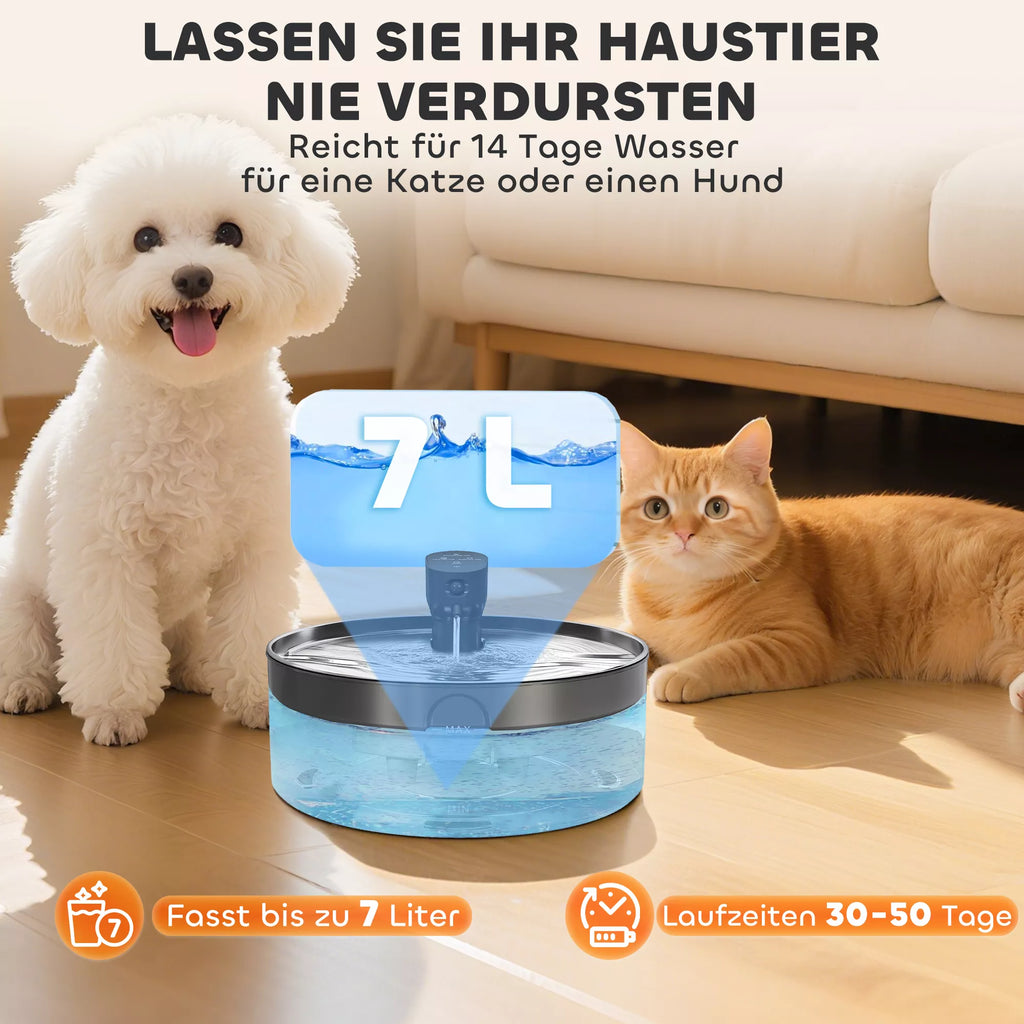 Katės girdykla fontanėlis 7L su LED apšvietimu ir filtru, nerūdijančio plieno, juodas