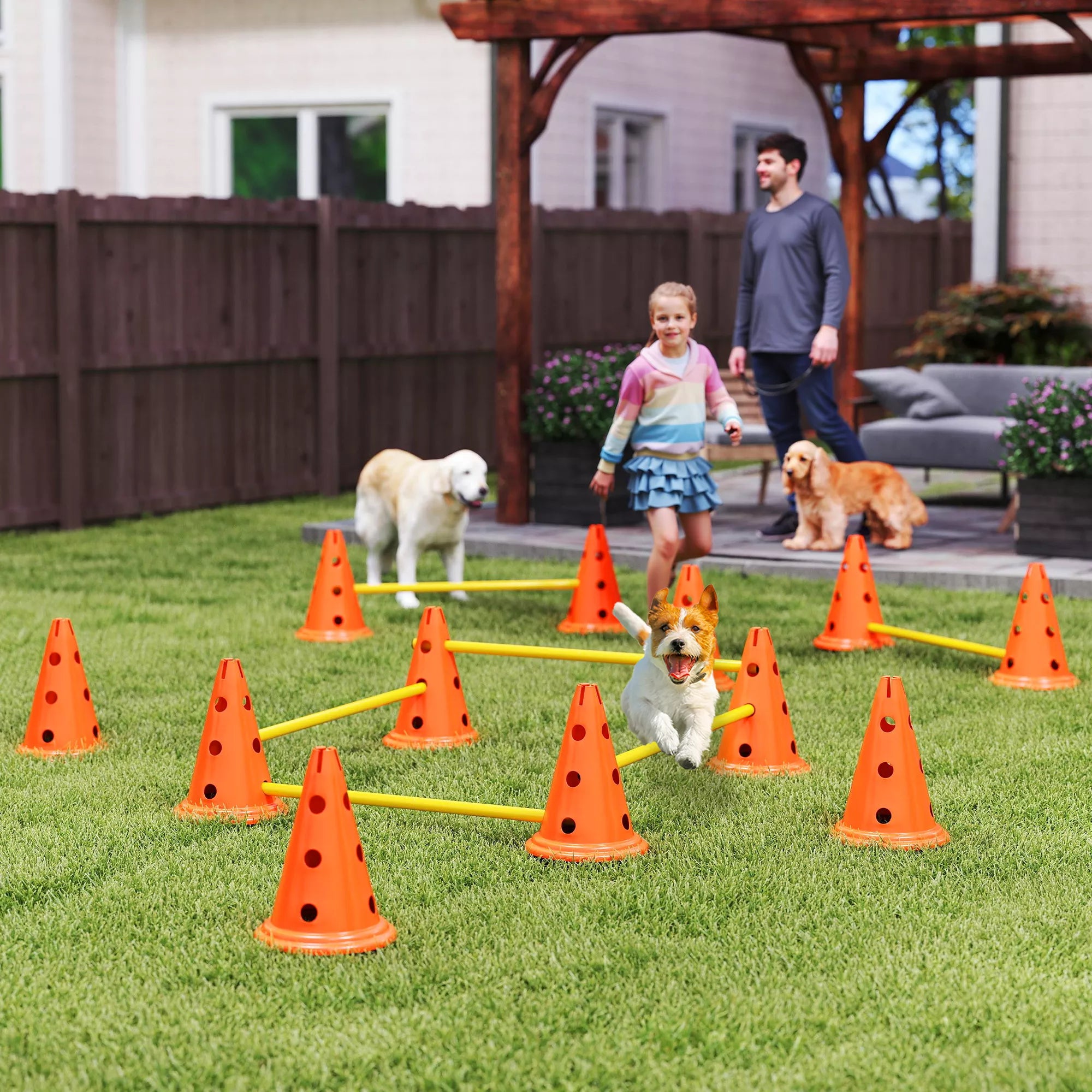 Šunų dresūros ir agility rinkinys, 6 kliūtys su 12 kūgių ir krepšiu