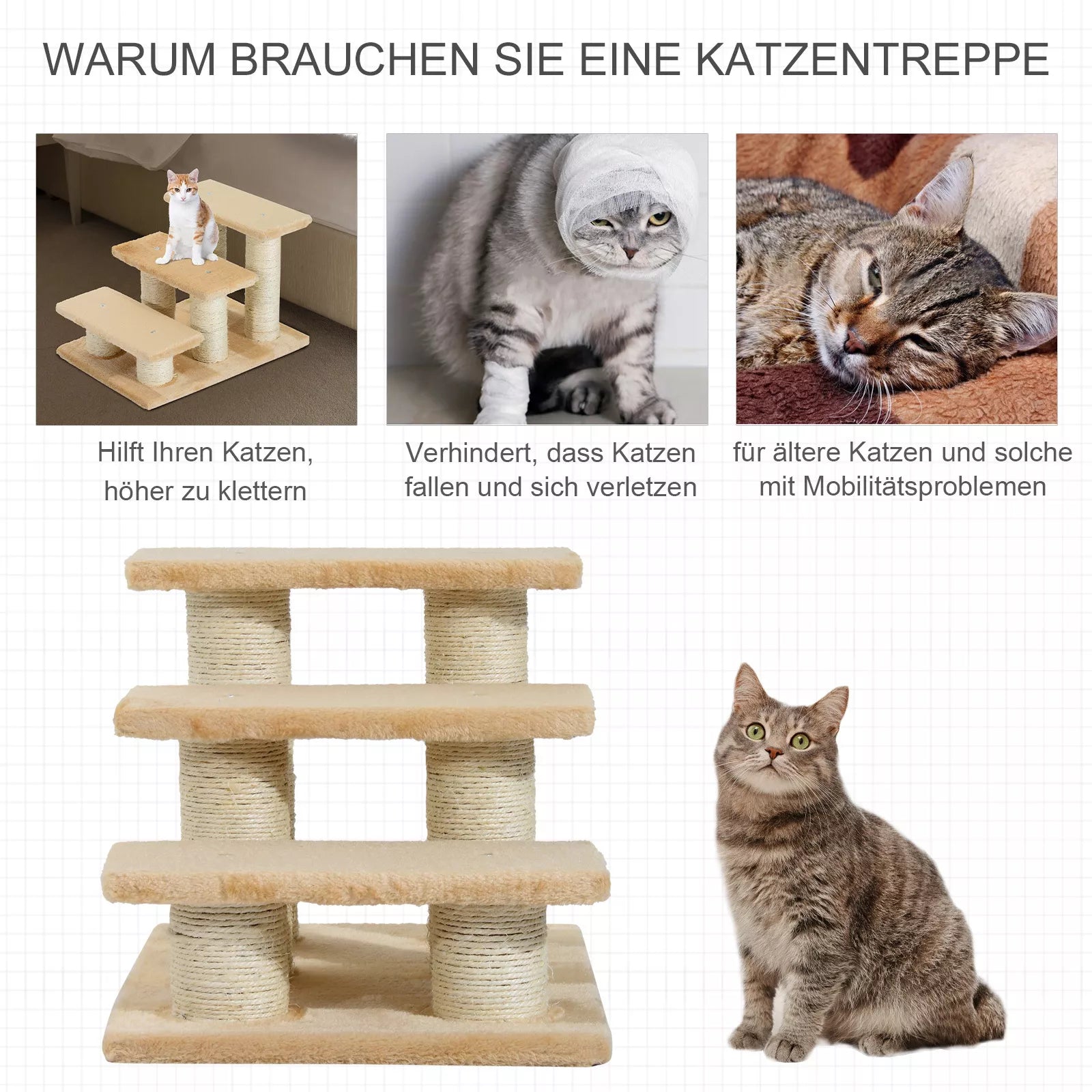 Schema su gyvūnų laiptais ir naudojimo scenomis
