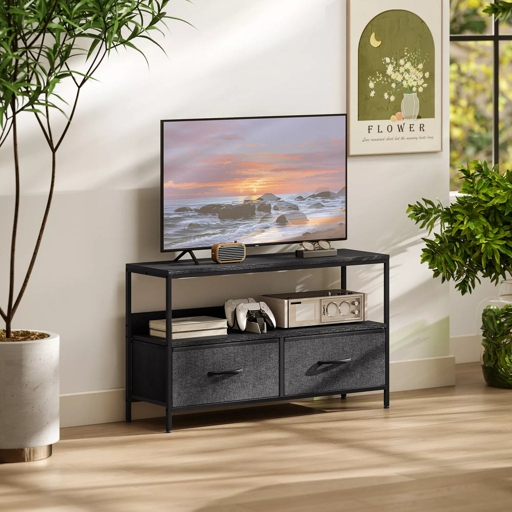 TV staliukas su 2 stalčiais, atviru skyriumi, televizoriams iki 47 colių, 98 x 29 x 56 cm, juoda+tamsiai pilka