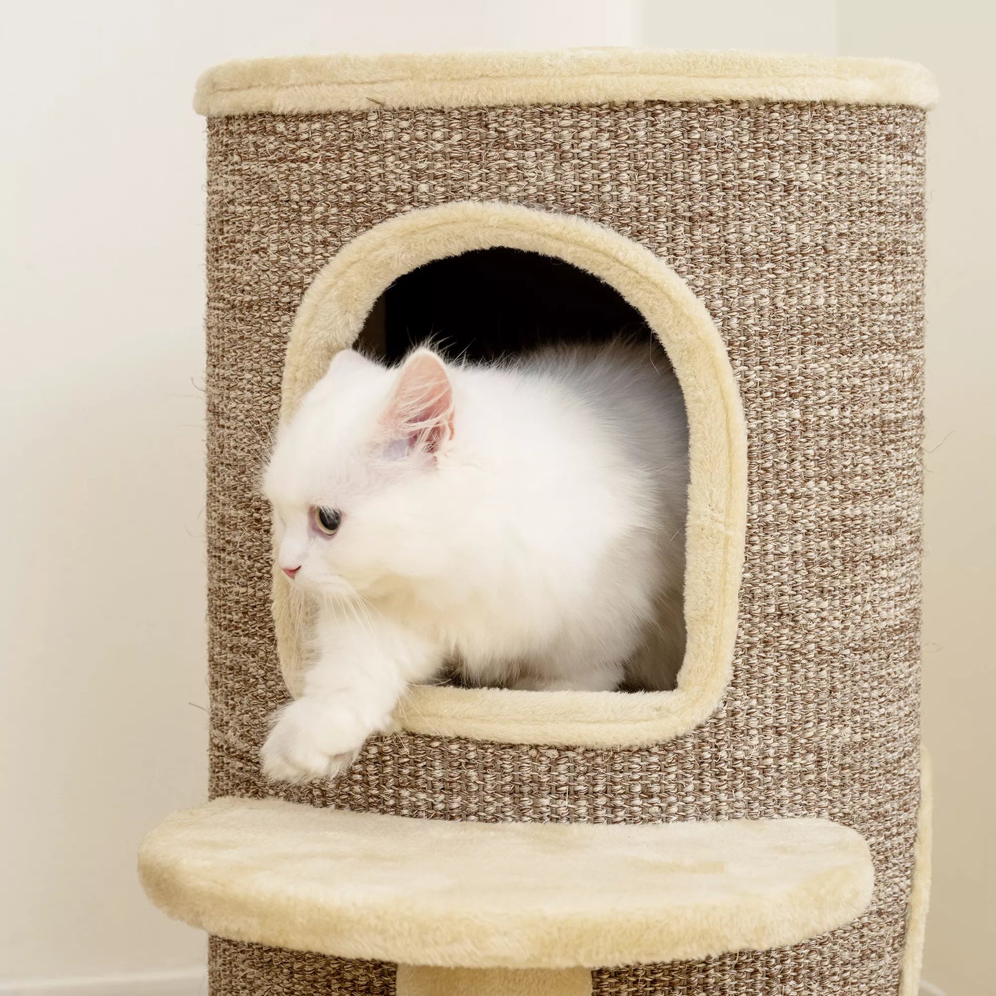 Kačių statinaitė, draskyklė su 2 lygiais, šokinėjimo platforma, apžvalgos aikštelė, draskymo kilimėlis, poilsiui ir žaidimams, smėlio spalvos