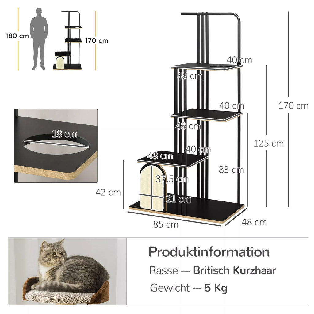 Kačių medžio schema su matmenimis 170, 125 ir 85 cm bei siluetais